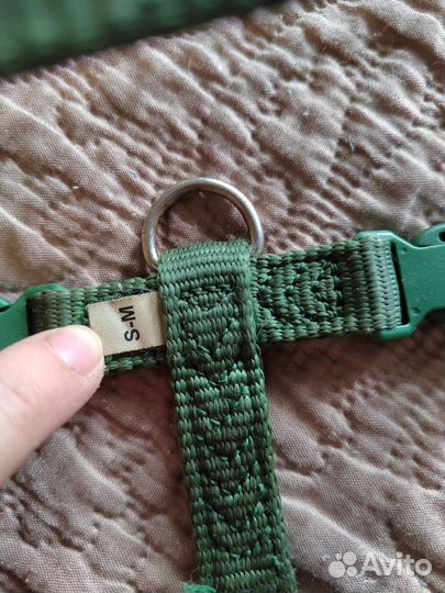 Шлейка для собаки