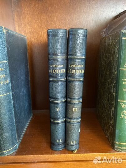 Пушкин. Собрание сочинений. Том 3,5