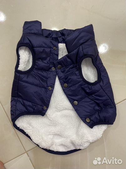 Одежда для собак