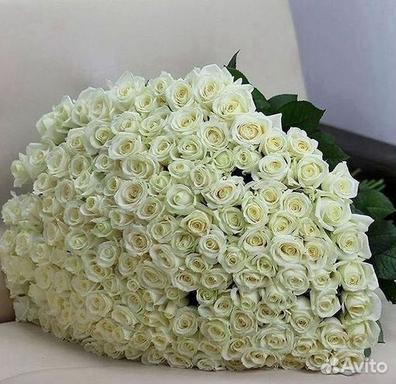 Розы Цветы Букеты 25 51 151 201 101 301 501 опт