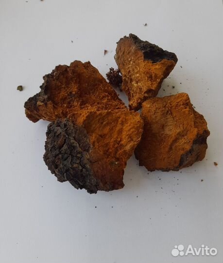 Чага, Иван-чай ферментированный, зож сбор 2023