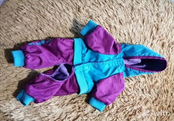 Одежда для маленьких собак