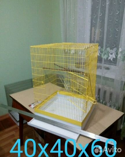 Клетки, вналичии