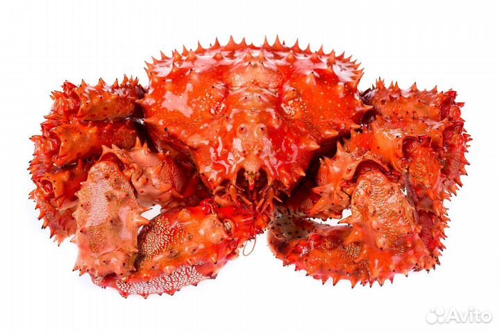 Краб камчатский подарочный