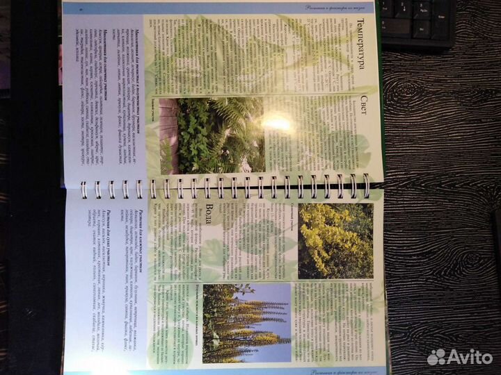 Книга миллион цветов на вашем участке