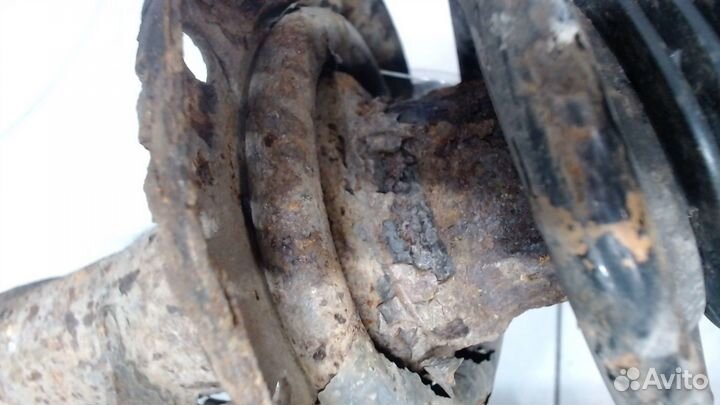 Амортизатор подвески Volkswagen Golf 5, 2006