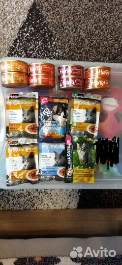 Корма для животных