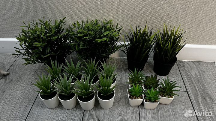 Декоративные растения искусственные