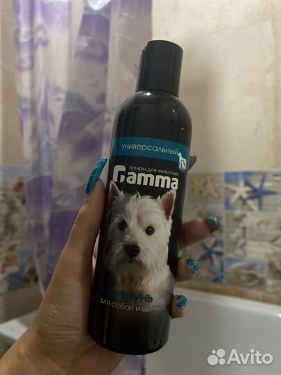 Шампунь и Спрей : отучить и приучить к лотку