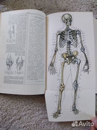 Большая медицинская энциклопедия, 2-е изд., 36 т