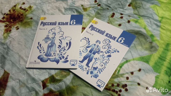 Русский язык 6 класс