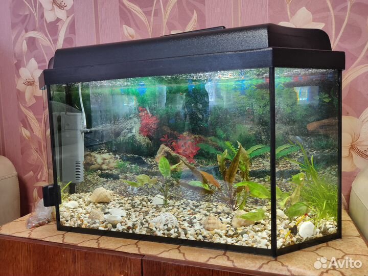 Продам аквариум