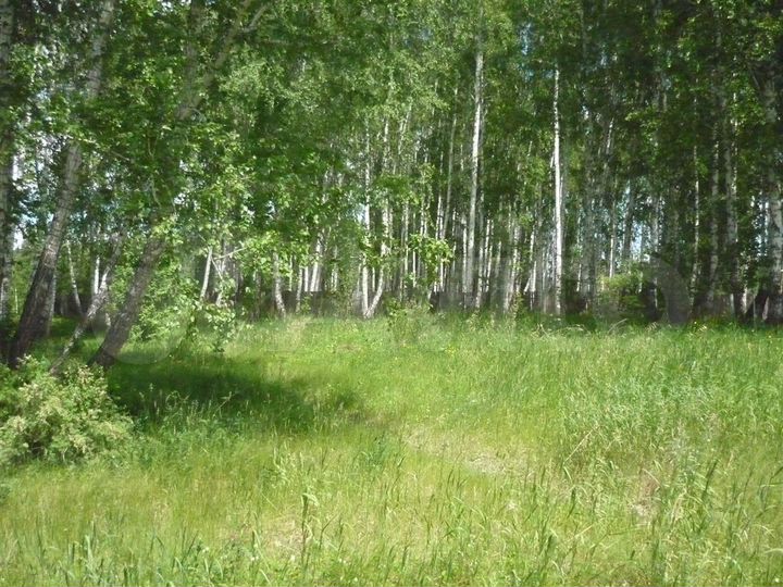 Участок 10,5 сот. (ИЖС)