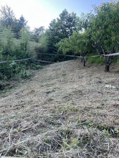 Участок 6 сот. (ИЖС)