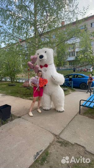 Белый мишка поздравление и Панда