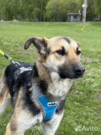 Самая нежная