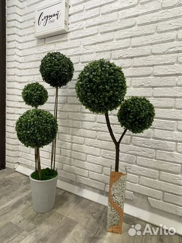 Топиарий Самшит искусственный, Замиокулькас