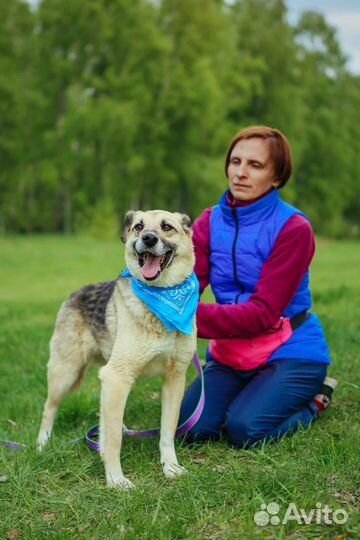 Долго мне не прожить в приюте