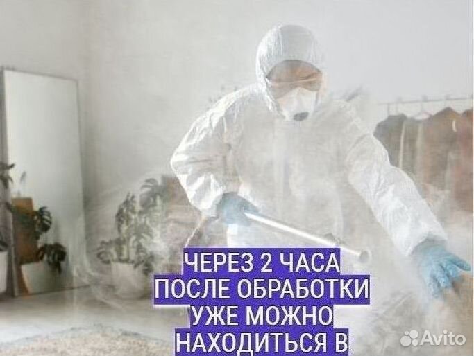 Уничтожение тараканов клопов Дезинфекция