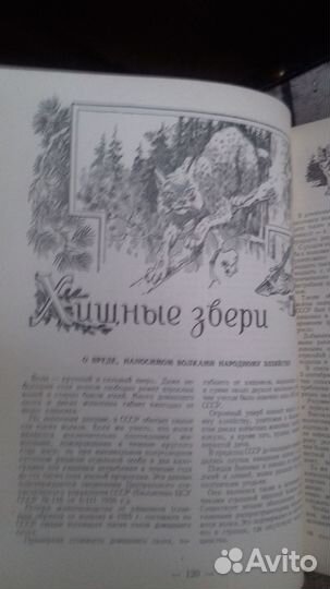 Книга охотника