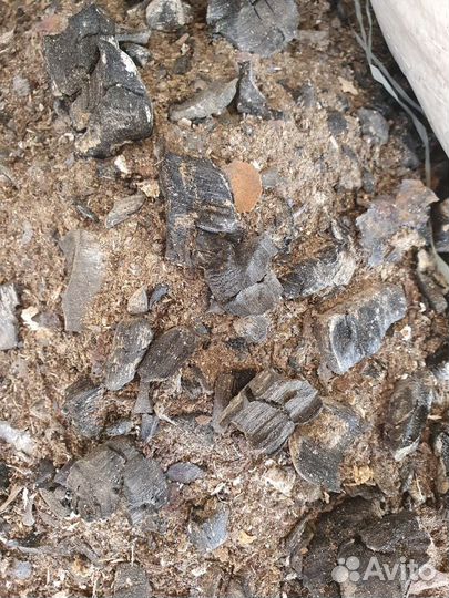 Зола древесная (береза)