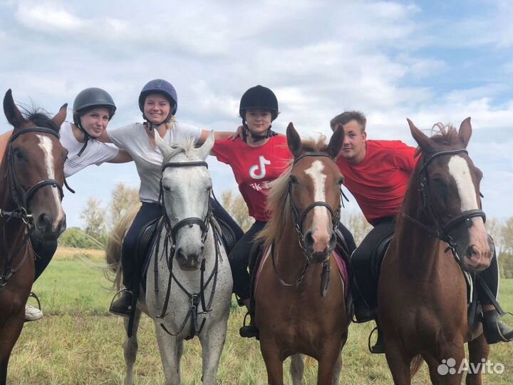 Прокат лошадей