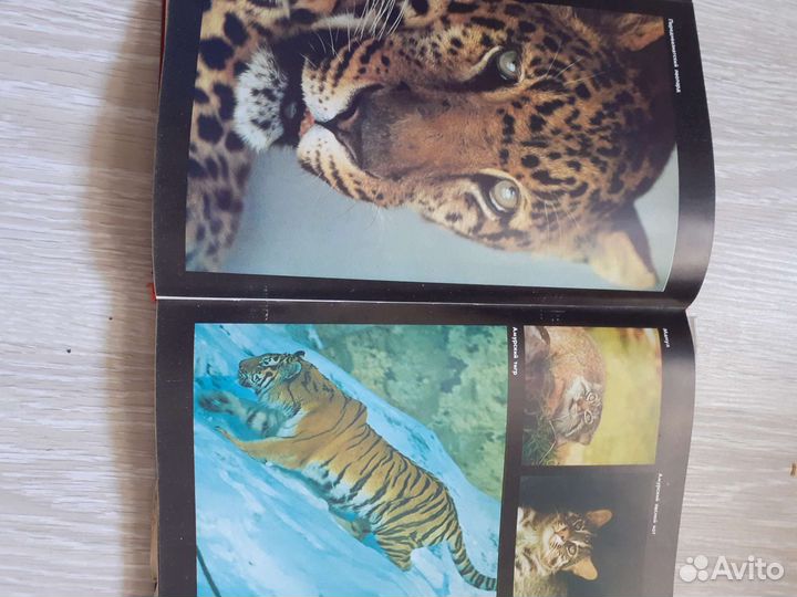 Красная книга.Животные