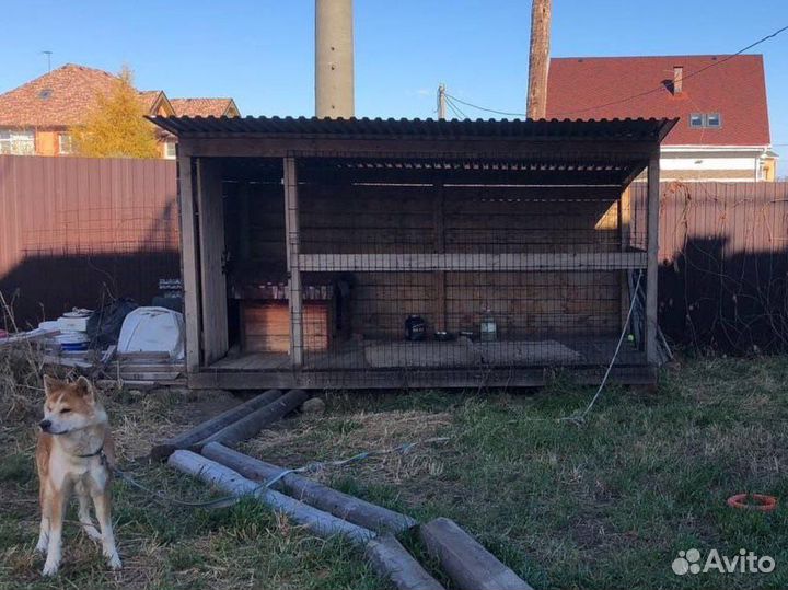 Вольер для собак