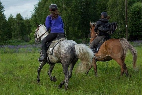 Участок 15 сот. (ИЖС)