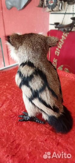 Модель сова