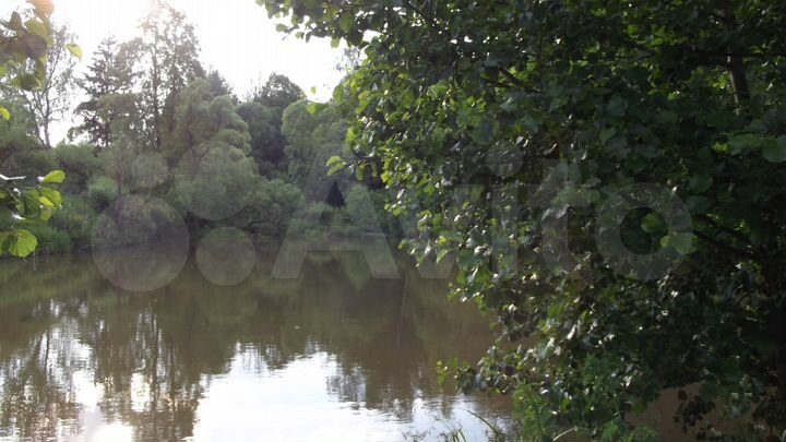 Участок 24 га (СНТ, ДНП)