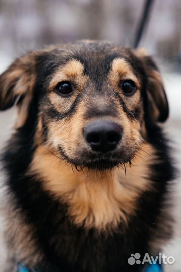 Подарите дом