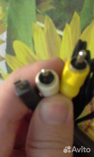 Тульпан микро уэсби