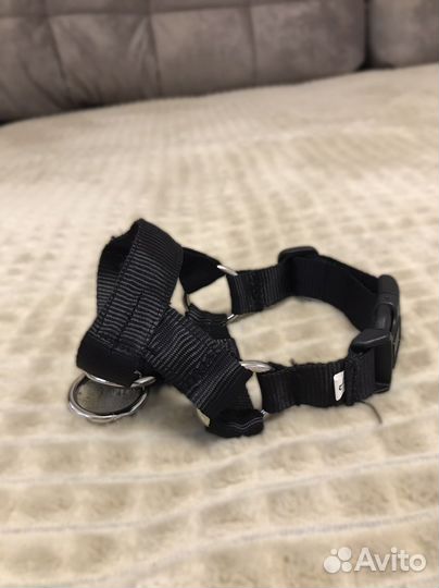 Недоуздок для собак