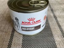 Корм для собак Clan Vet и Royal Canin recovery