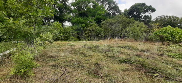 Участок 15,6 сот. (ИЖС)