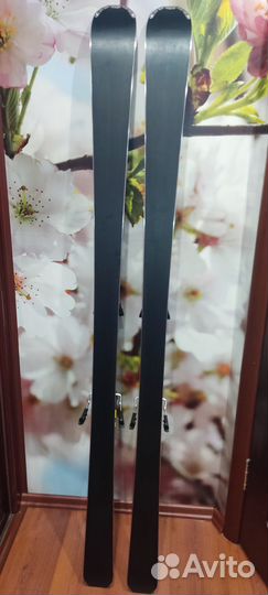 Горные лыжи salomon X-Rase SC 175