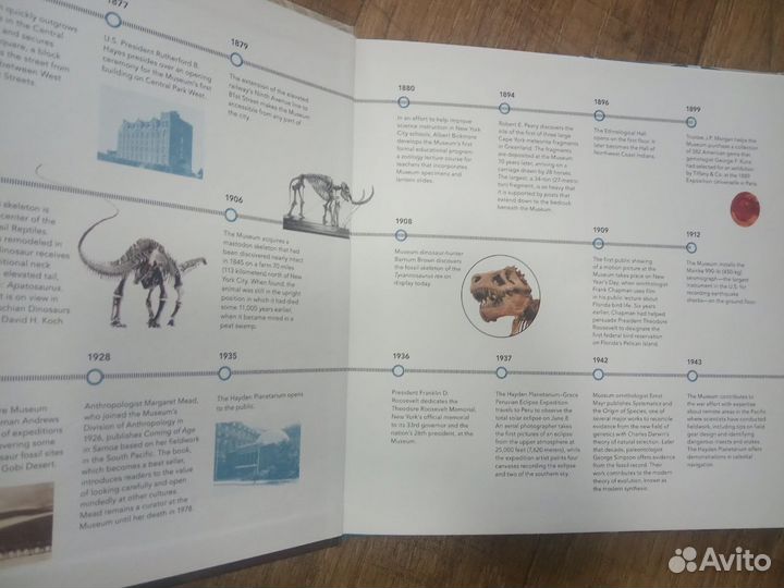 American Museum of Natural History