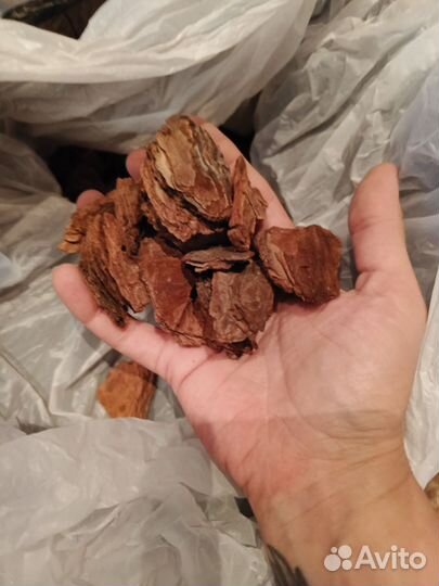 Варёная кора для орхидей