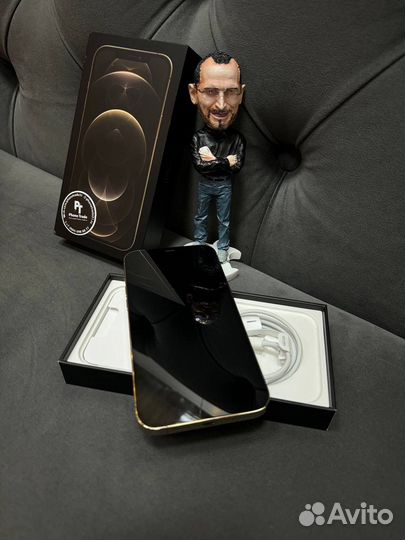 iPhone 12 Pro Max, 256 ГБ