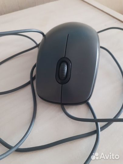 Мышка для компьютера