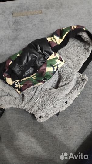 Одежда для маленьких собак