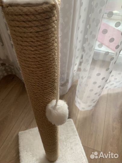 Когтеточка