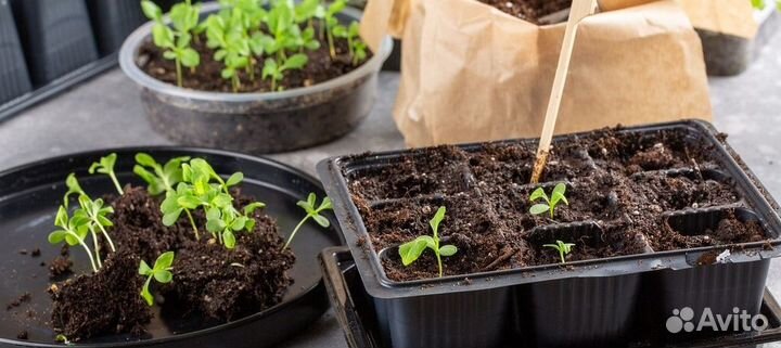Кассеты для рассады 49