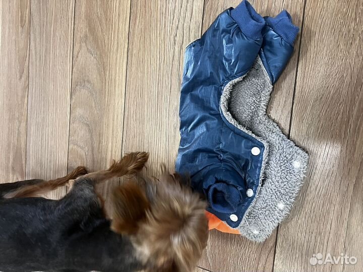 Комбинезон для собаки petmax