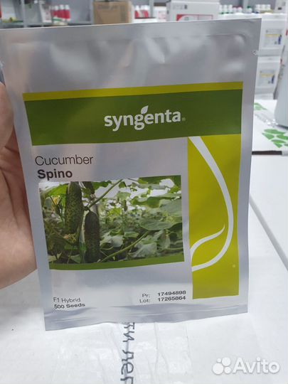 Семена огурец Спино 500с Сингента