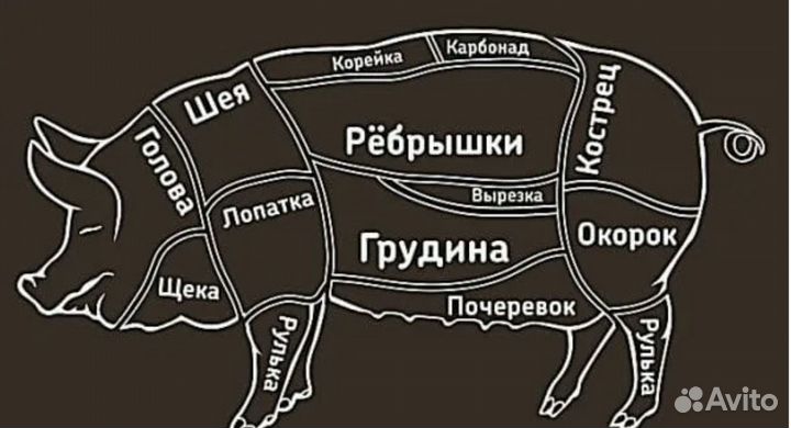 Названия разделки свинины. Схема разруба туши свинины. Схема разруба туши свиньи. Схема разделки свиной туши с названиями картинки. Разделка мяса свинины схема.