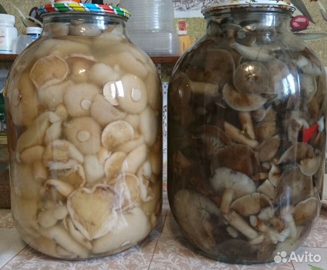 Грибы маринованные