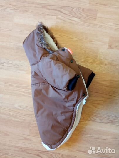 Одежда для собаки