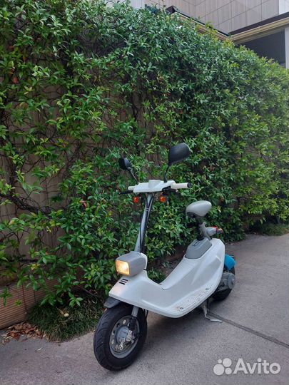 Honda zook